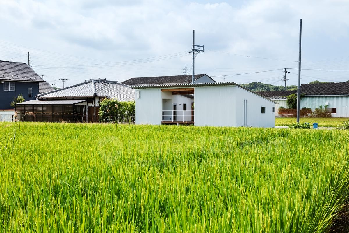 rumah di dekat sawah