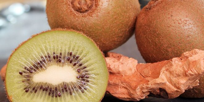 mengolah kiwi