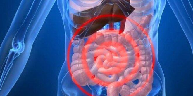 Pengobatan Perdarahan Gastrointestinal: Cara Mengatasi Masalah Lambung dengan Efektif