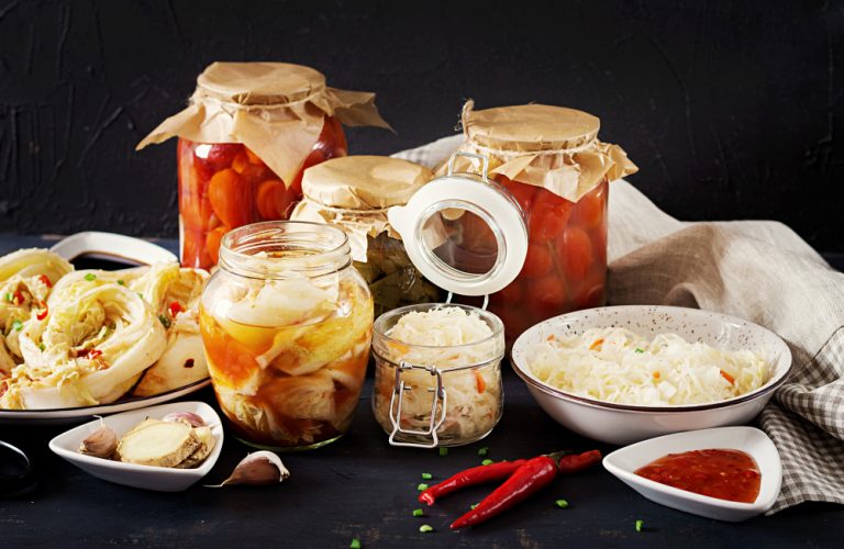 santapan fermentasi