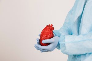 Donor organ