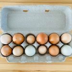 tips Membedakan telur
